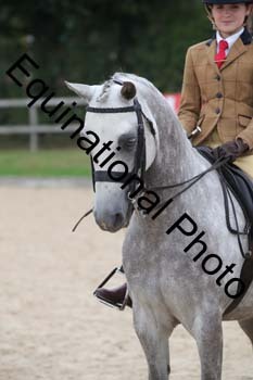 FIV-4615