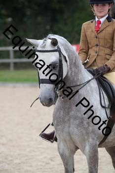 FIV-4616