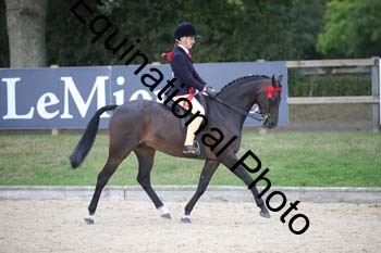 FIV-4724