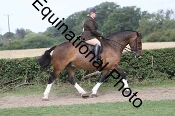 NRT-1480