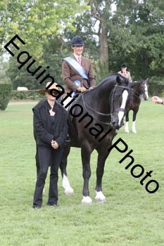 NRT-1772