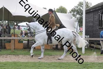 NRT-1811