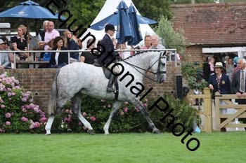 QWR-1060