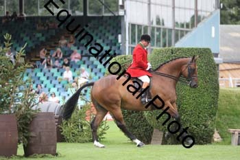 QWR-1065