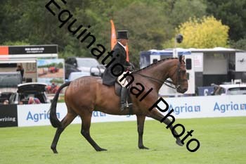 QWR-1079