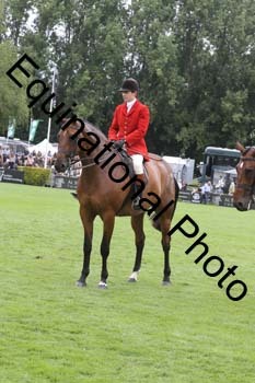QWR-1134