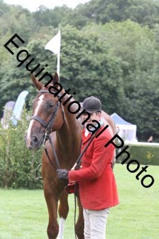 QWR-1136