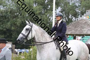 QWR-1190