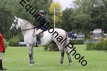 QWR-1194
