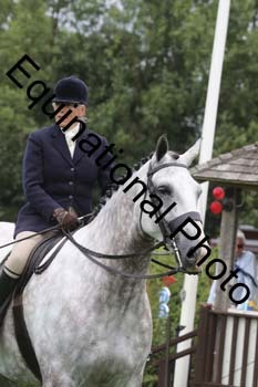 QWR-1198