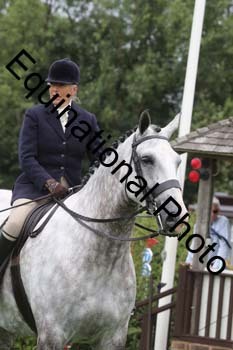 QWR-1199