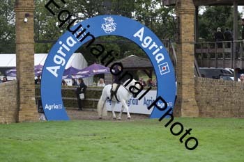 QWR-1289