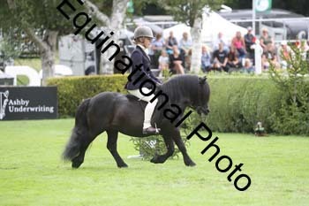 QWR-1308