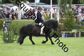QWR-1309