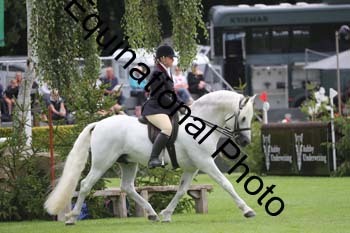 QWR-1322