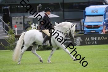 QWR-1323