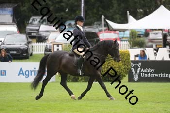 QWR-1324