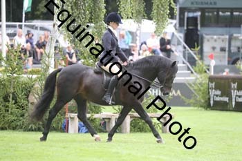 QWR-1328