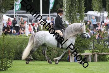 QWR-1335
