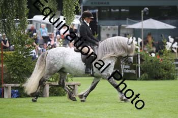QWR-1336