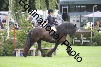 QWR-1339