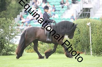 QWR-1348
