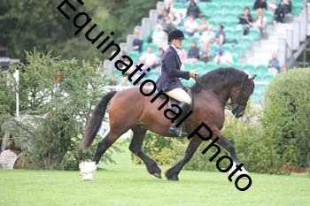QWR-1354
