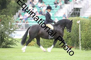 QWR-1360