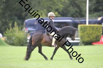 QWR-1361