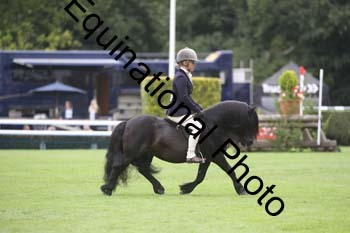QWR-1365