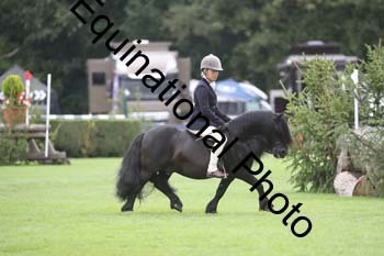 QWR-1367