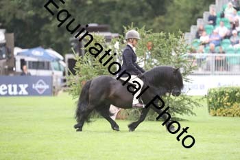 QWR-1368