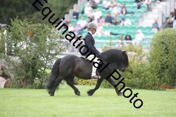 QWR-1369
