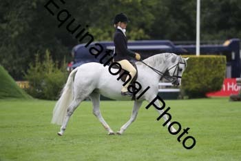 QWR-1371