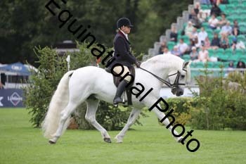 QWR-1378