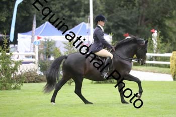 QWR-1379