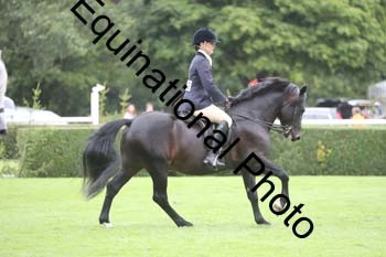 QWR-1381