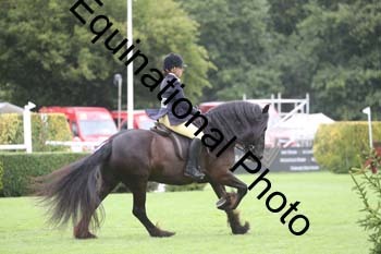 QWR-1384