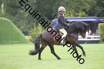 QWR-1393