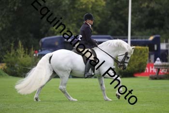 QWR-1398