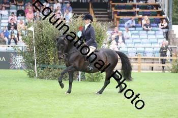 QWR-1407