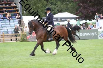 QWR-1408