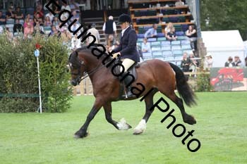 QWR-1409