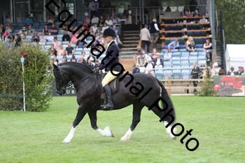 QWR-1411