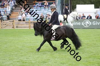 QWR-1416
