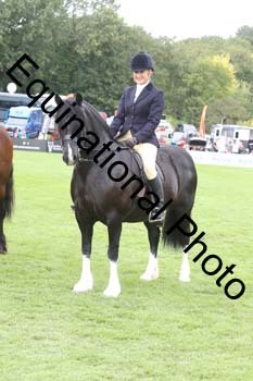 QWR-1465