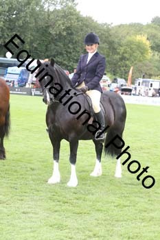 QWR-1466