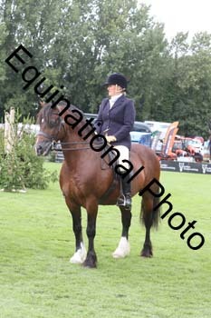 QWR-1469