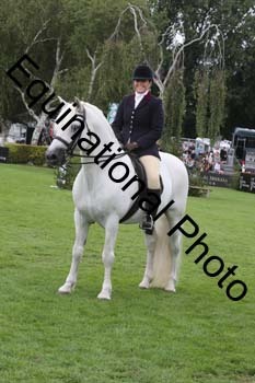 QWR-1478