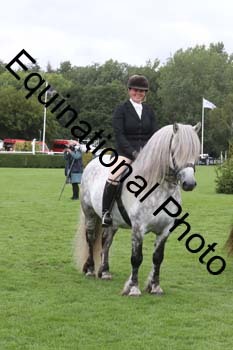 QWR-1488